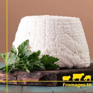 Ricotta-fromages-bio-tunisie