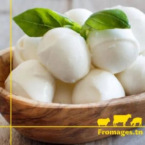 Mozzarella-fromages-bio-tunisie